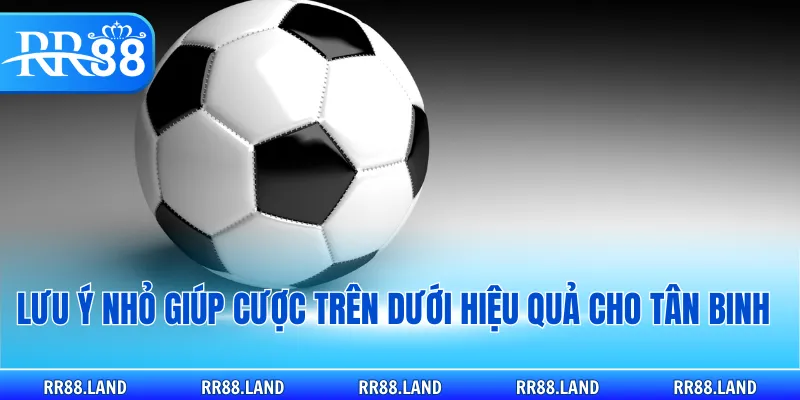 Lưu ý nhỏ giúp cược trên dưới hiệu quả cho tân binh