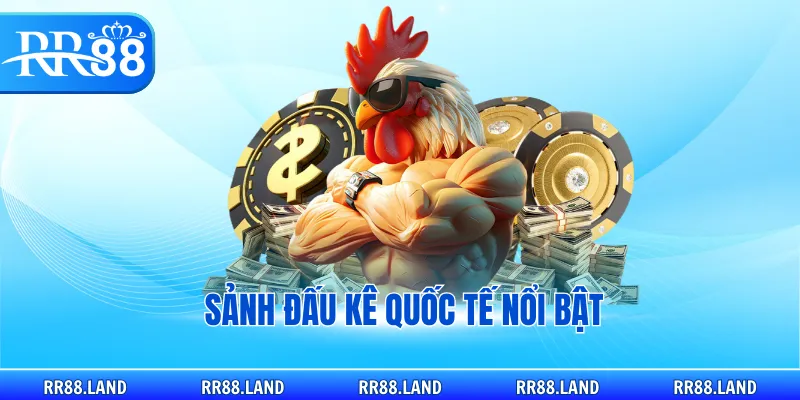 Sảnh đấu kê quốc tế nổi bật